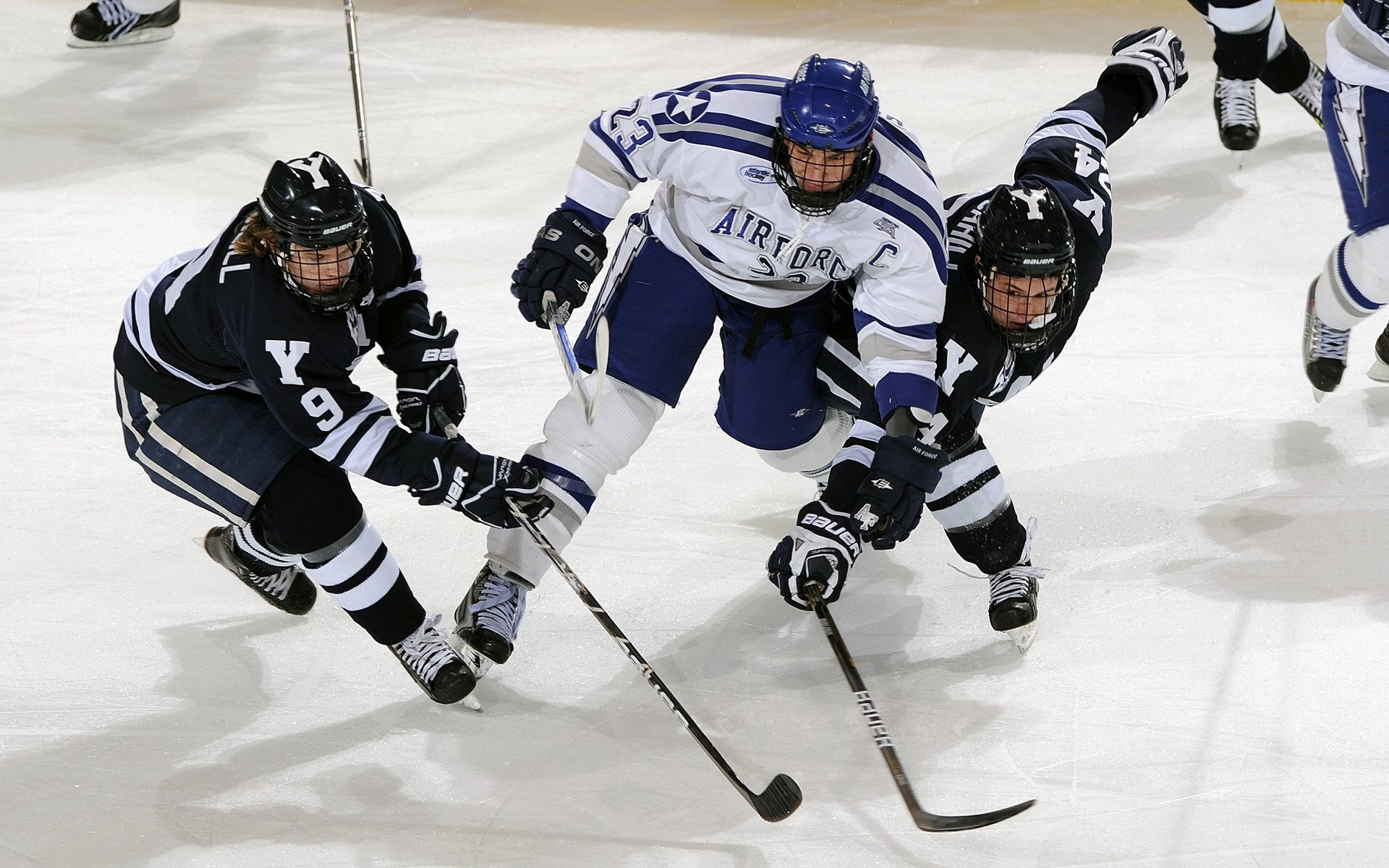 扎马莱克与阿尔阿赫利体育俱乐部达成合作协议，阿莱克斯-扎纳尔迪