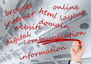 开云体育娱乐-校园体育赛事品牌建设路径与传播策略研究，校园体育竞赛体系